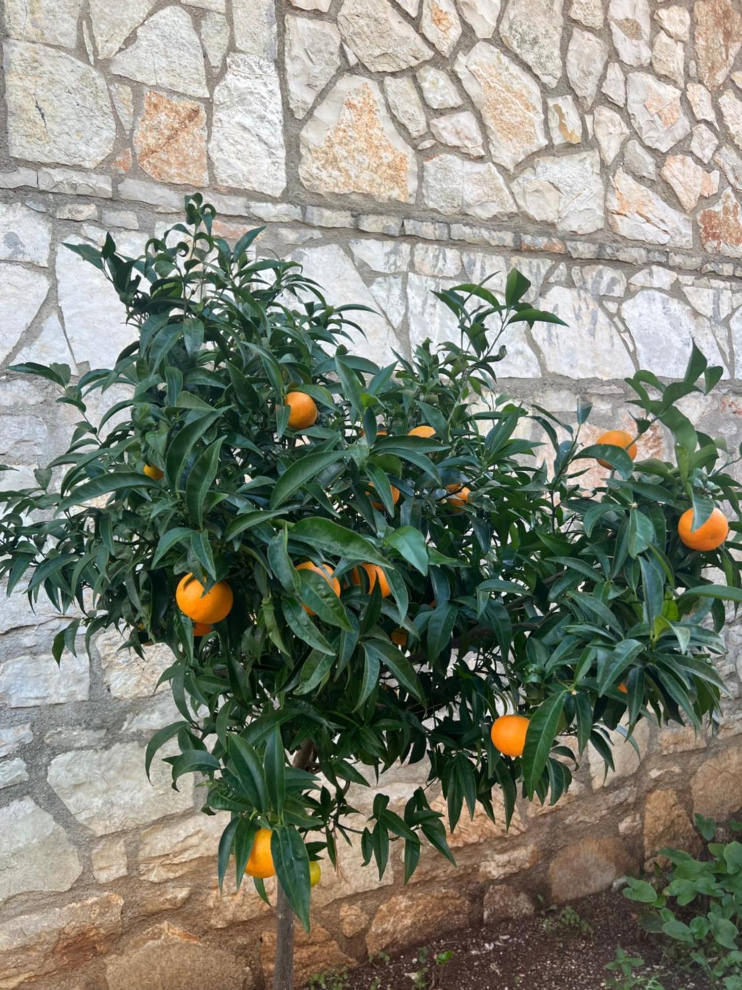 Jardin Miraculeux Hotel Химар Екстериор снимка