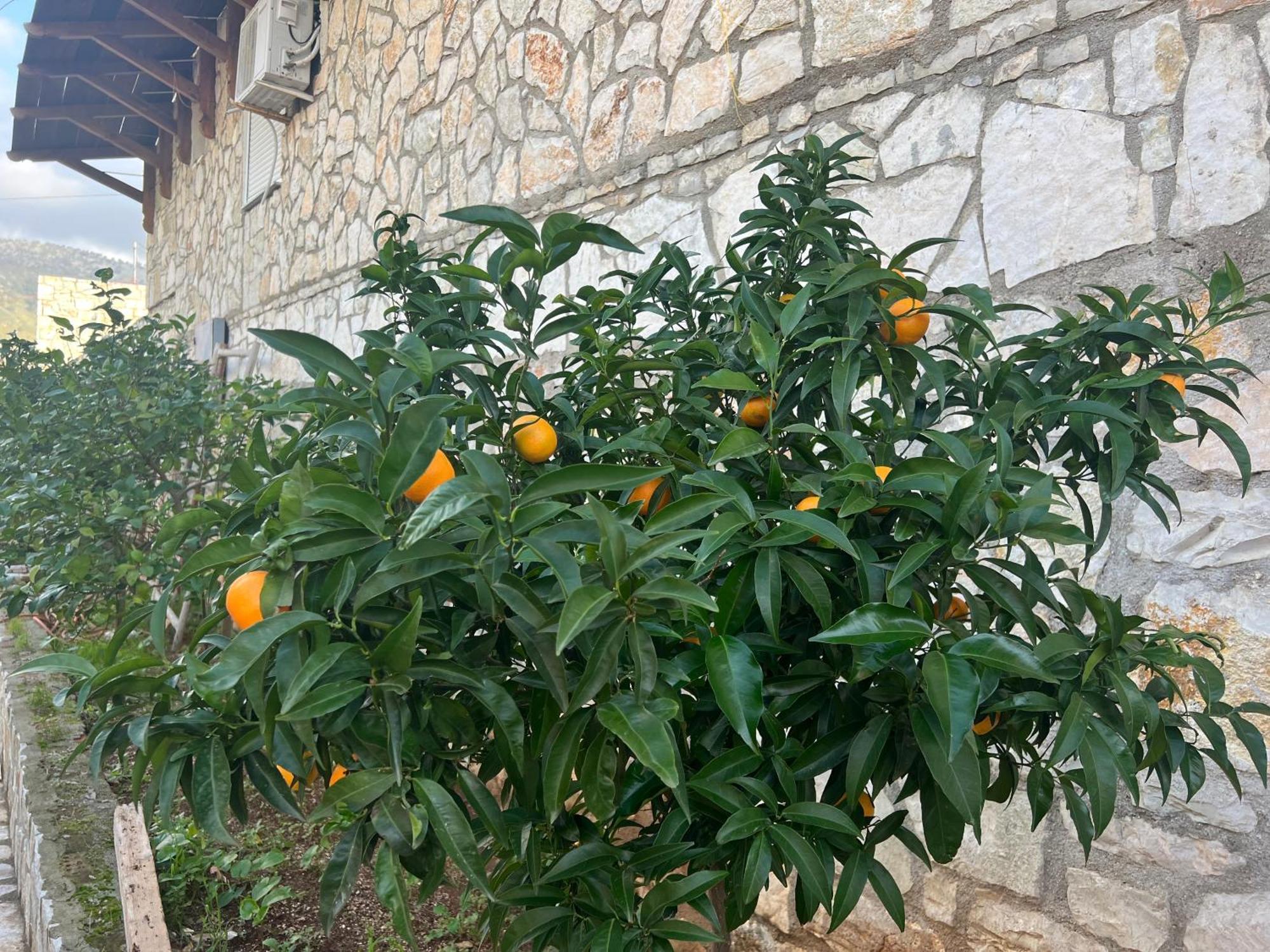 Jardin Miraculeux Hotel Химар Екстериор снимка